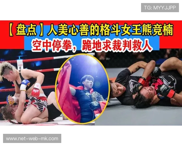 国际拳击裁判评分透明化平台技术升级与运维报告第二版,国际拳击规则 国际拳击裁判评分透明化平台技术升级与运维报告第二版,国际拳击规则